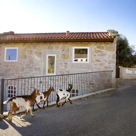 Casas De Selim *